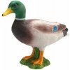Animal Planet Kačica divá