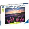 Ravensburger Puzzle - Vlčí boby 500 dílků