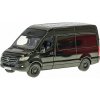 Mikrotrading Mercedes-Benz Sprinter, kov, na zpětný chod