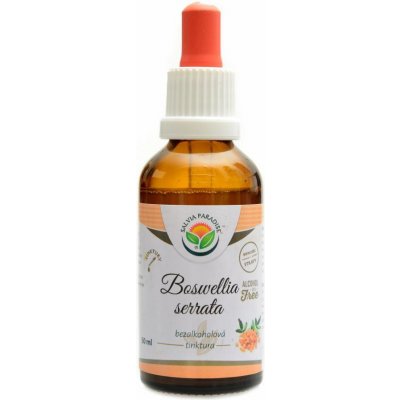 Salvia Paradise Boswellia serrata kadidlovník AF tinktura 50 ml