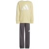 Detská tepláková súprava ADIDAS LK BL FT JOG JE1384 128