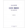 Con brio per orchestra