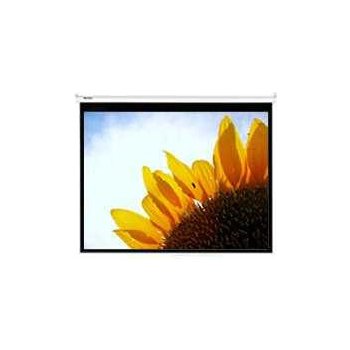 Optoma 203 x 152cm DS-3100PMG+