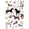 Samolepky Horses Topgal STICKERS 24058