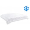 Brotex Prikrývka Thermo zimná 3170 g 220x240