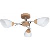 Spot-Light | Spot-Light 8141374 - Prisadený luster VILETTA 3xE27/60W/230V | SP0446