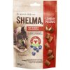 MAŠKRTY PRE MAČKY SHELMA CHRUMKAVÉ VANKÚŠIKY HOVÄDZIE MÄSO A ČUČORIEDKY 60G BEZ OBILNÍN