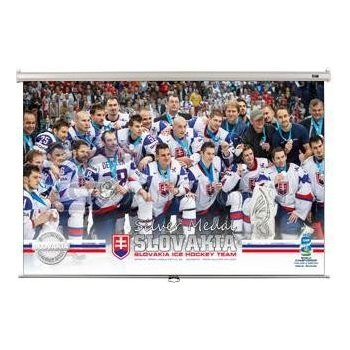 Elite Screens manual 132 x 235cm M106XWH