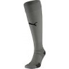 Puma teamFINAL 21 Socks