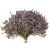 Sušené kvety Statice tatarica - Limonka tatárska - fialová