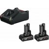 Nabíjačka a náhradná batéria Bosch 2 x GBA 12V 6.0Ah + GAL 12V-40 1.600.A01.B20 (1.600.A01.B20)