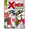 Marvel Comics Library. X-Men. Vol. 1. 1963–1966 ()