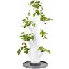 GUSTA GARDEN GG-100569