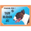 Dafiko Tabulka Tady hlídám! Bulterier 1ks