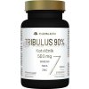 Pharma Activ Tribulus 90% Kotvičník 500 mg 90 kapsúl