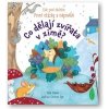 Co dělají zvířata v zimě? - Katie Daynes, Christine Pym