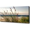 Foto obraz na plátne Morské duny 100x50 cm