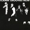 Flamin' Groovies: Now (Coloured White Vinyl) - Vinyl (LP)