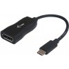i-tec USB-C Display Port Adapter 4K/60Hz C31DP60HZP