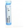 Arnica Montana gra.1 x 4 g 9CH