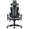 Canyon ABCH01, Morphos, prémiové ergonomické herné kreslo, čierno-šedé CNS-ABCH01GYB