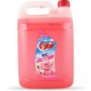 GO! WC gel ROSE & MAGNOLIA 5l červený