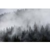DIMEX | Vliesové fototapety na stenu Hmla MS-5-1894 | 375 x 250 cm | biela, čierna + Vliesová fototapeta na stenu DIMEX Hmla MS51894 v rozmere 375 x 250 cm