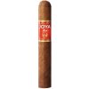 Joya DE NICARAGUA RED ROBUSTO 1 ks