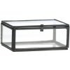 MADAM STOLTZ Sklenený box Clear Black Iron