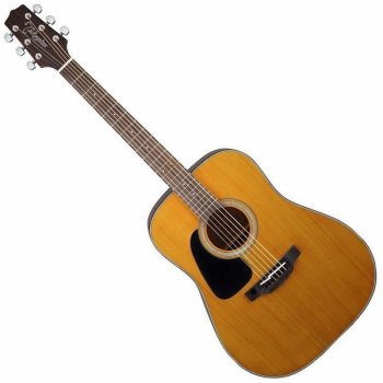 Takamine GD30