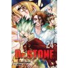Dr. STONE, Vol. 24 (Boichi)(Brožovaná)