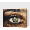 Vymalujsisam.sk Maľovanie podľa čísiel - Krokodílie oko Veľkosť: 40x50cm, Rám: Na plastovej doske