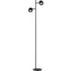 Paulmann | Paulmann 79775 - 2xLED/3W Stmievateľná stojacia lampa PURIK PANE 230V | W4415