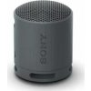Sony SRS-XB100 - Bluetooth reproduktor (čierny)