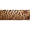 DIMEX | Fototapeta do kuchyne Leopardia koža KI-180-069 | 180 x 60 cm | béžová, čierna, hnedá + Samolepiace fototapety do kuchyne DIMEX Leopardia koža KI-180-069 v rozmere 180 x 60 cm