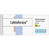 Generica Laktoleraza 60 tabliet