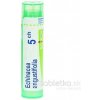 Echinacea Angustifolia gra.1 x 4 g 5CH