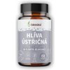 Blendea Hlíva Ústřičná 90 kapslí