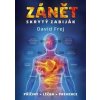 Zánět - skrytý zabiják - Frej David