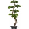 Bonsaj borovice v kvetináči, 90x40cm (umelá bonsai)