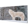 Sklenený obraz Vlk v zime lese 100x50 cm