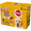 Pedigree Junior multipack 12 x 100 g