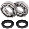 All Balls Racing Ložiská tesnenie kľukovky sada All Balls Racing CB24-1011
