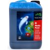 Home pond Medic Pond 3 l