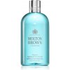Molton Brown Coastal Cypress & Sea Fennel osviežujúci sprchový gél pre mužov 300 ml