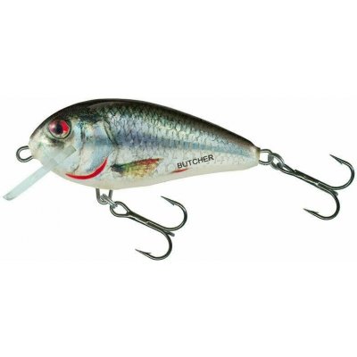 Salmo Butcher Floating Holographic Real Dace 5 cm 5 g