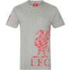 Fan-shop Tričko LIVERPOOL FC Graphic šedé Velikost: L