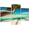 Obraz - exotická krajina (Obraz 90x60cm)