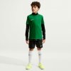 Detský futbalový dres Nike, DRI-FIT PARK VIII JR tmavo zelená,Biela M