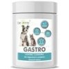 Dromy Gastro 250 g